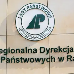 Regionalna dyrekcja lasów państwowych w Radomiu – kluczowe informacje i działalność